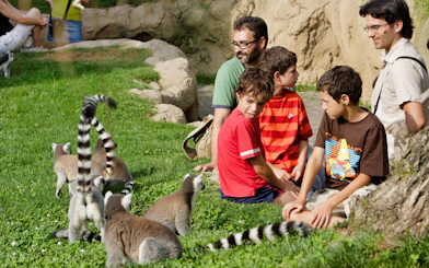 Family interacting with lemurs at Bioparc Valencia.