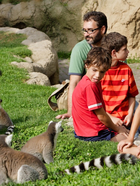 Family interacting with lemurs at Bioparc Valencia.