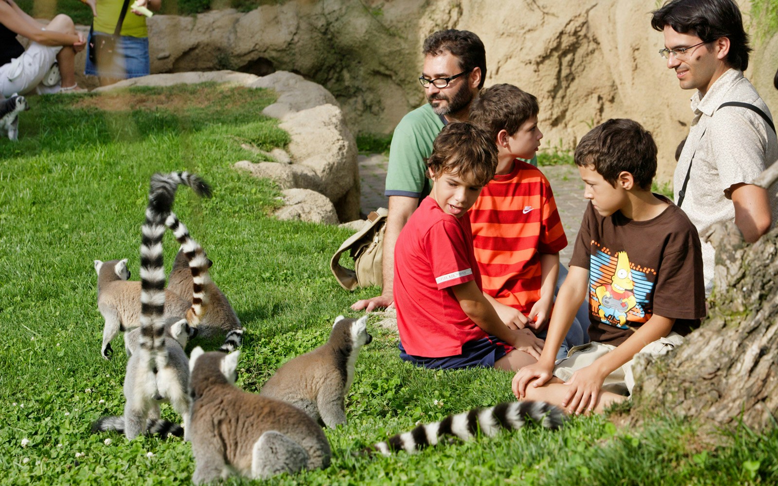 Family interacting with lemurs at Bioparc Valencia.