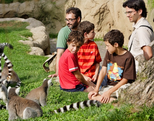 Bioparc Valencia visitor
