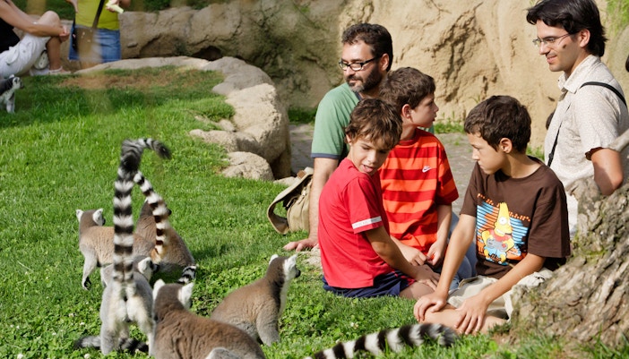 Family interacting with lemurs at Bioparc Valencia.
