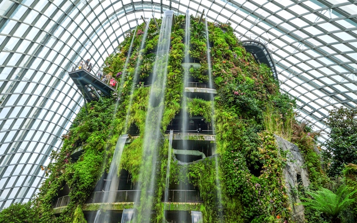 Cloud Forest at Gardens by the Bay, featuring lush vertical greenery and cascading waterfall in Singapore.