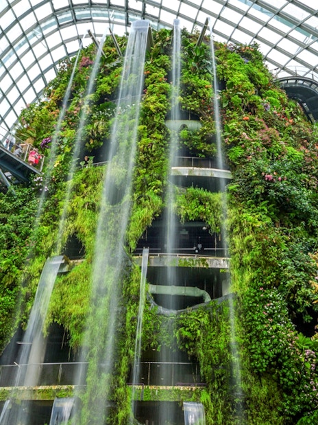 Cloud Forest at Gardens by the Bay, featuring lush vertical greenery and cascading waterfall in Singapore.