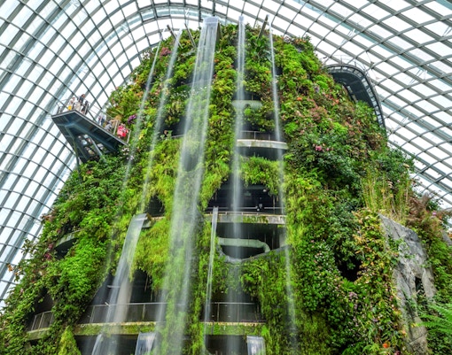 Cloud Forest Gardens by the Bay