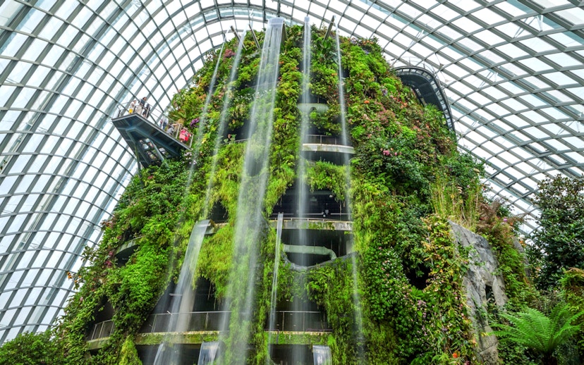 Cloud Forest at Gardens by the Bay, featuring lush vertical greenery and cascading waterfall in Singapore.
