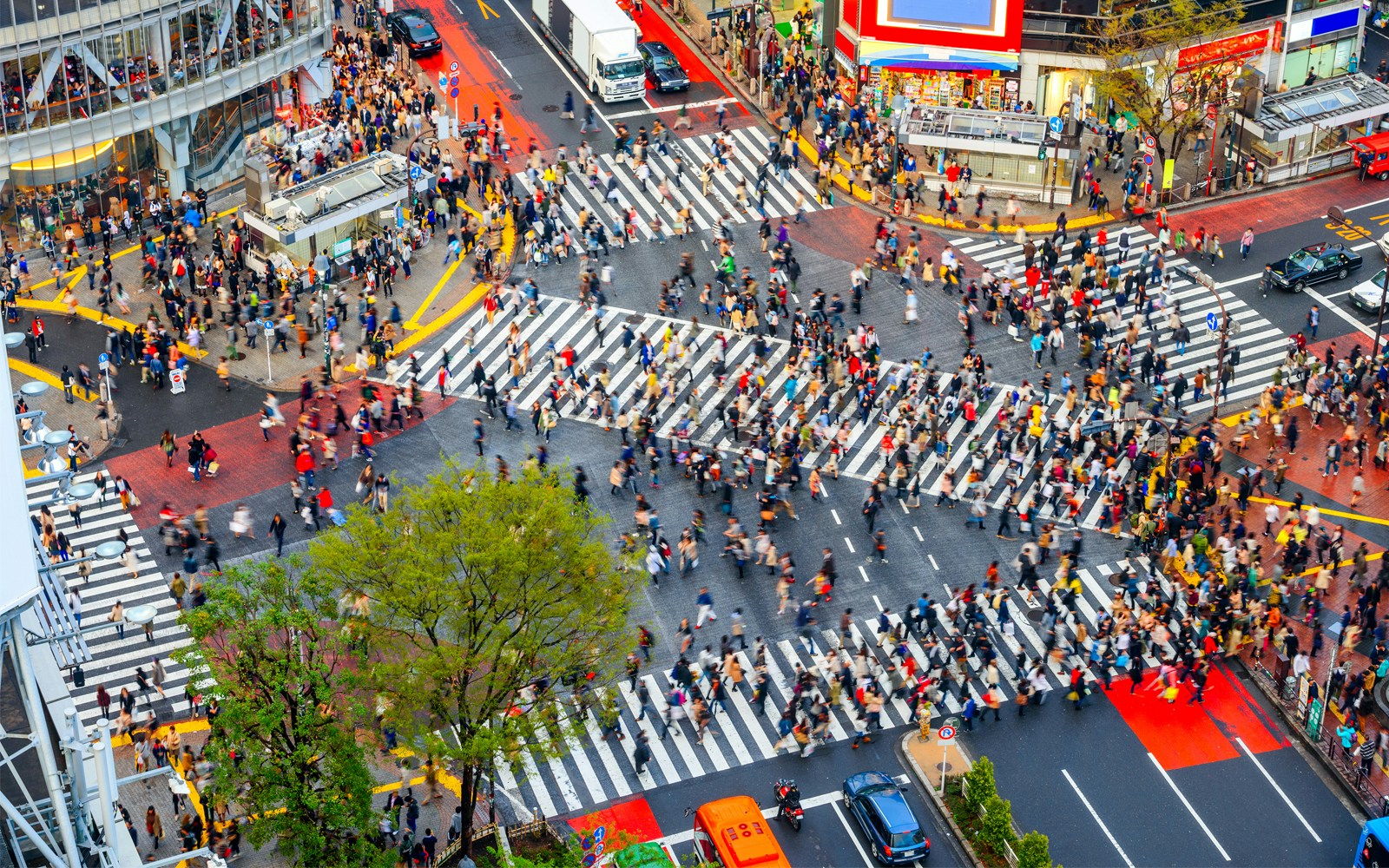 Shibuya Scramble Crossing Tokyo