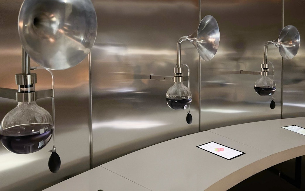 Wine display setup at Concha y Toro for Marqués de Casa Concha tasting experience.