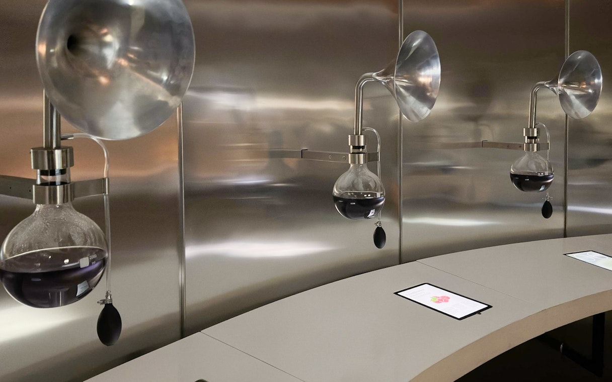 Wine display setup at Concha y Toro for Marqués de Casa Concha tasting experience.