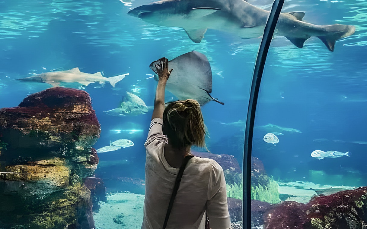 Visitor interacting with marine life at Hurghada Grand Aquarium.