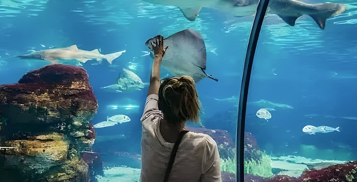 Visitor interacting with marine life at Hurghada Grand Aquarium.