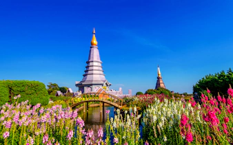 fra chiang mai: elefantreservat og fottur i doi inthanon nasjonalpark-2