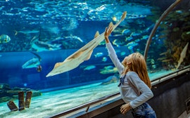 Sea Life Helsinki