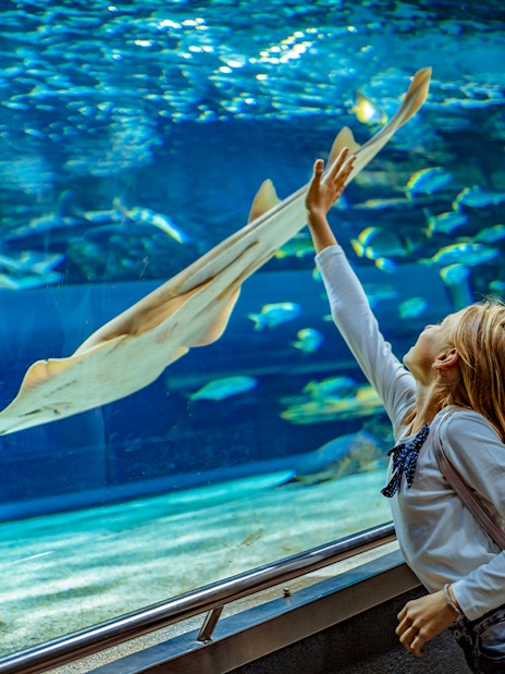 Child reaching towards fish in aquarium tunnel.