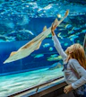 Sea Life Helsinki