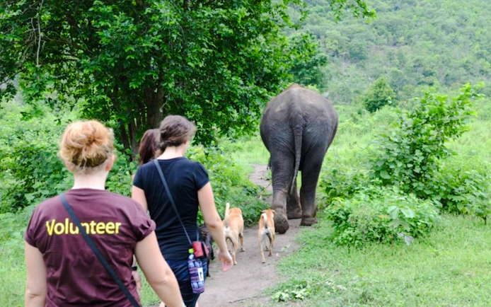 Elephants World Elephant Care Experience in Kanchanaburi with River Kwai Longtail Boat
