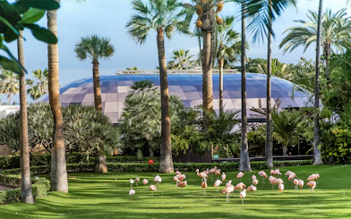 Flamingos on grass with palm trees and dome at Loro Park, Tenerife.