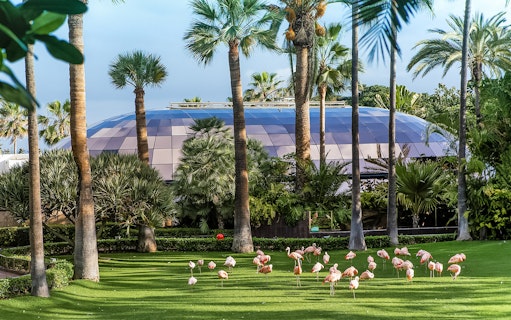 Flamingos on grass with palm trees and dome at Loro Park, Tenerife.