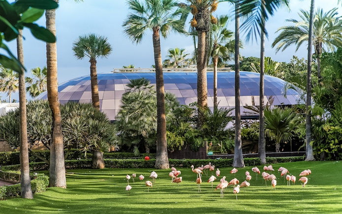 Flamingos on grass with palm trees and dome at Loro Park, Tenerife.