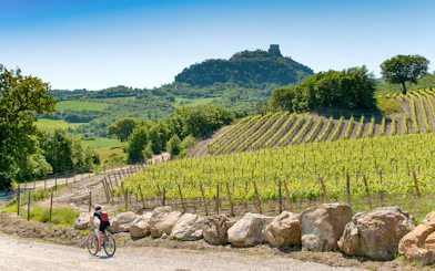 Cyclist on E-bike tour through Tuscan vineyards with hilltop view.