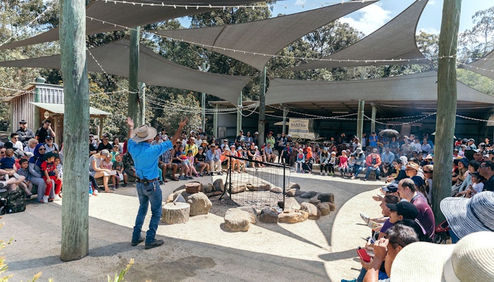 Live shows at Paradise Country