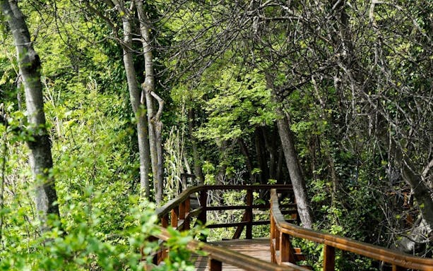 krka waterfalls - group tour-3