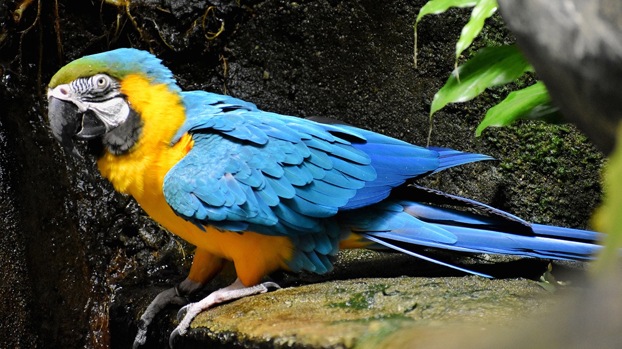 Langkawi Underwater World Timings