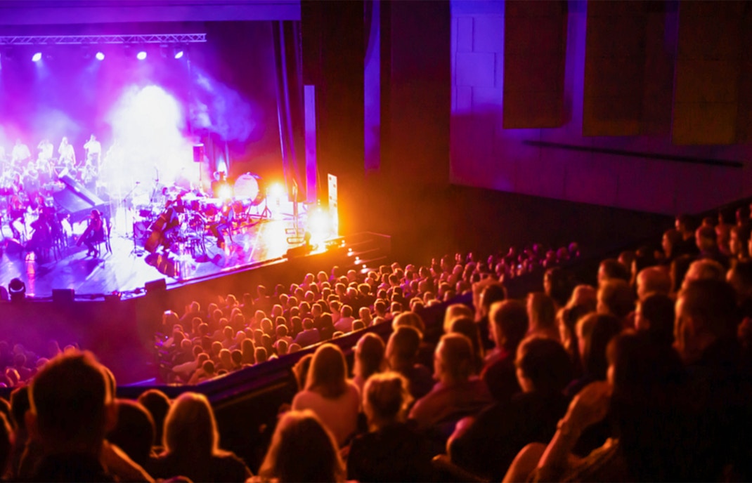 Audience enjoying a live performance