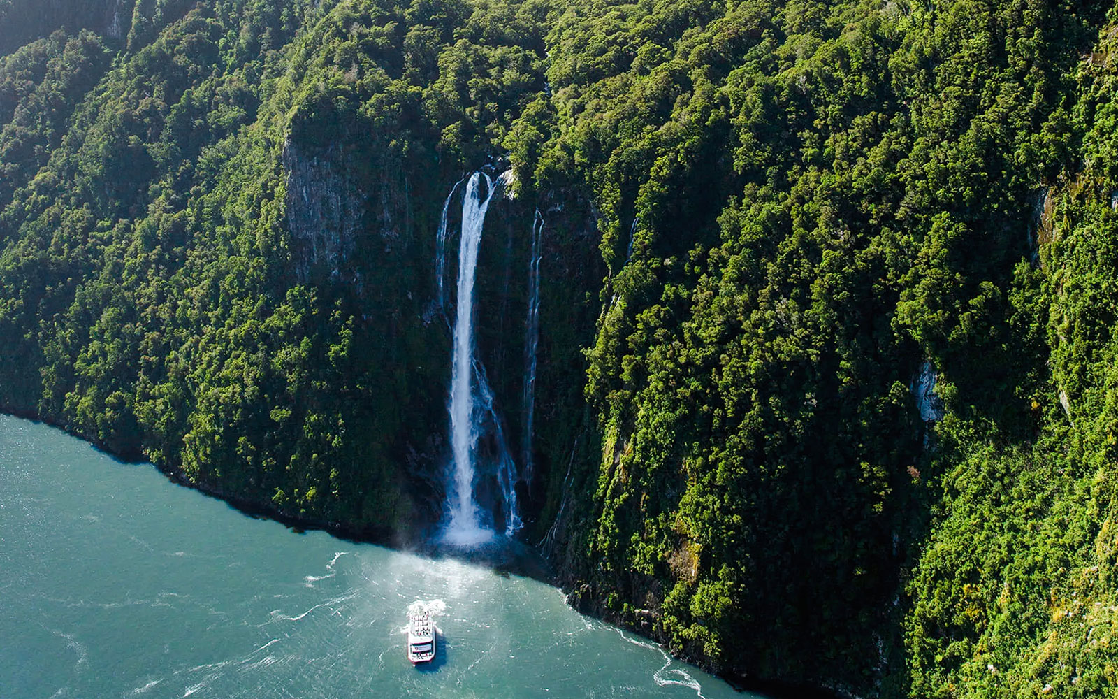 Croisière nature dans le détroit de Milford
