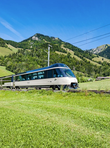 Train traveling through green hills and mountains in Switzerland.