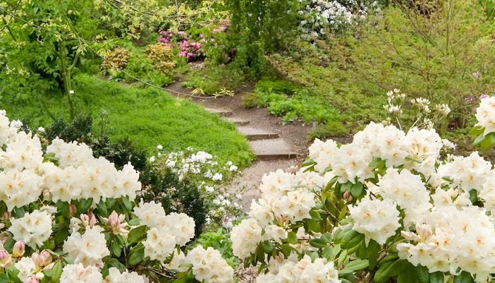 Jardins botaniques de Kew