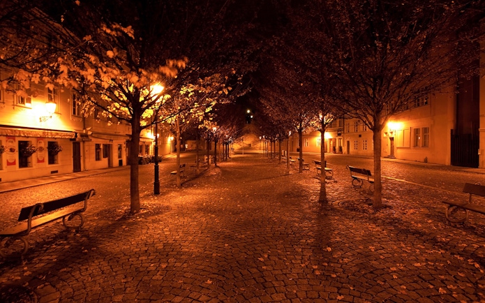 Cobblestone street lined with trees and benches at night in Prague.