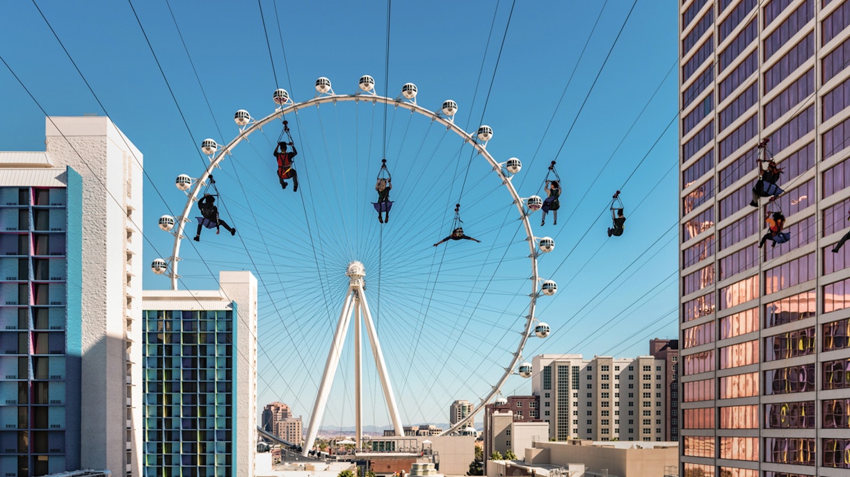 Guests on the Fly LINQ zipline
