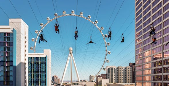 Vola con la Zipline LINQ