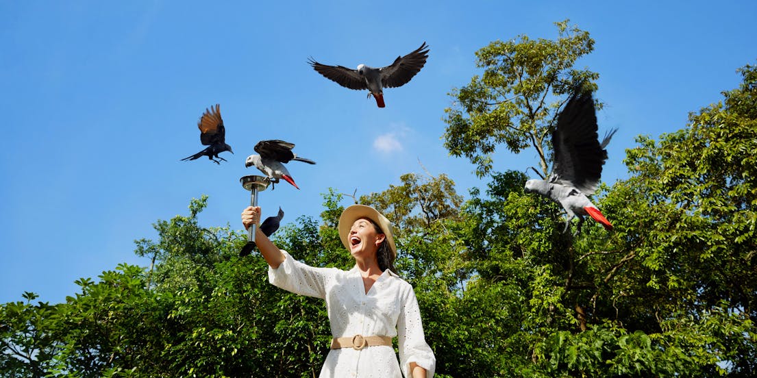 Ano Novo Lunar em Singapura