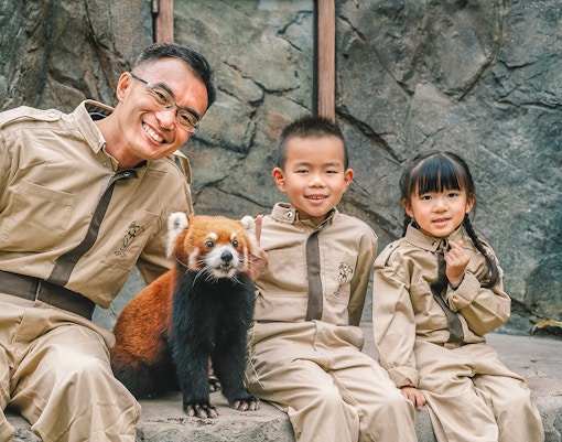 Ocean Park Hong Kong - Red Panda