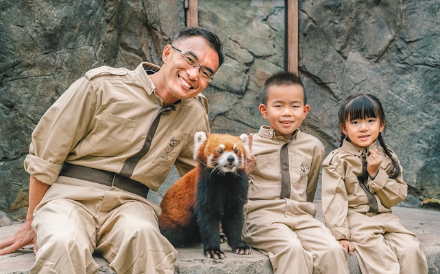 Ocean Park Hong Kong - Red Panda