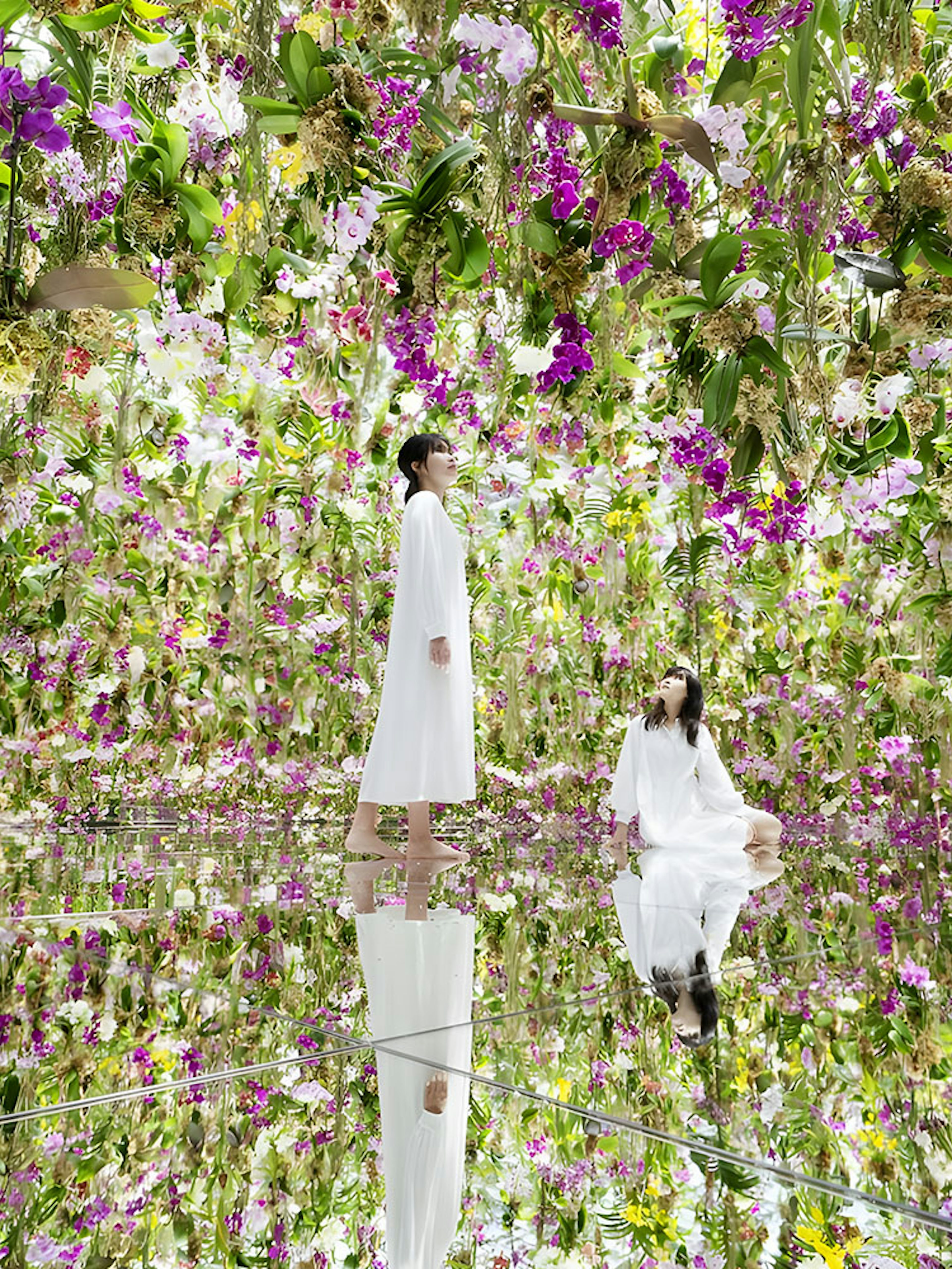 Visitors at teamLab Planets Tokyo surrounded by vibrant hanging flowers.