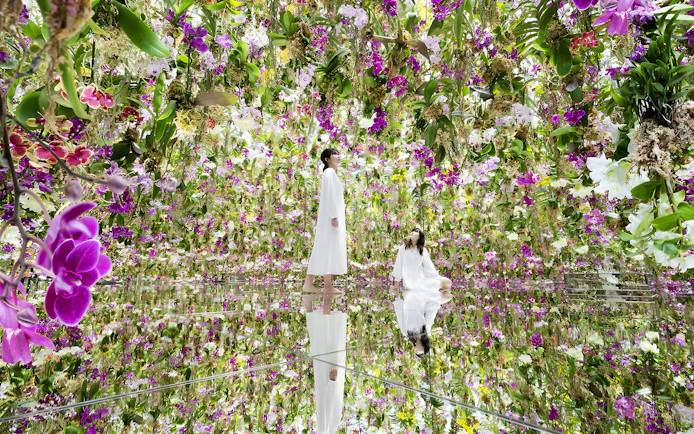 Visitors at teamLab Planets Tokyo surrounded by vibrant hanging flowers.