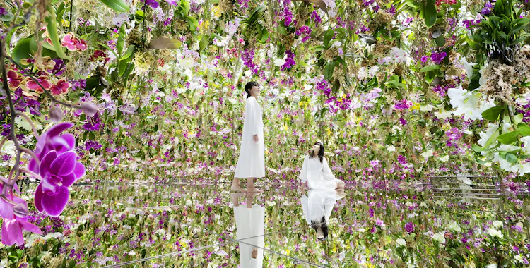 TeamLab Planets Tokyo