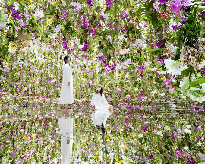 Tokyo City Pass: Free Entry to teamLab Planets & 4 Top Landmarks