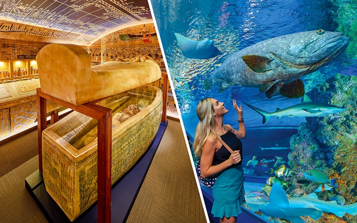 Tomb of the Pharaohs with hieroglyphs in Luxor, Egypt, featuring a sarcophagus.