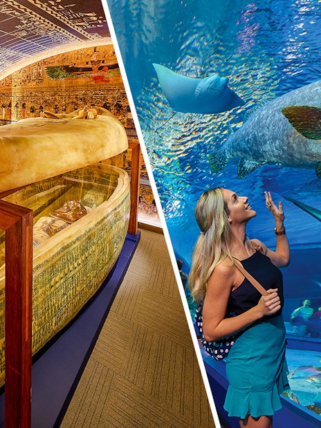 Tomb of the Pharaohs with hieroglyphs in Luxor, Egypt, featuring a sarcophagus.