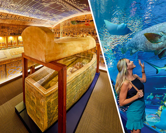 Combo: Tomb of the Pharaohs + Cairns Aquarium Tickets
