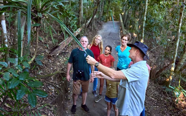 Group on guided rainforest tour observing plants.