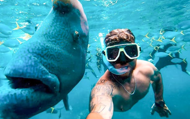 Snorkeler with fish in clear waters during Tongarra Sail Day Tour.
