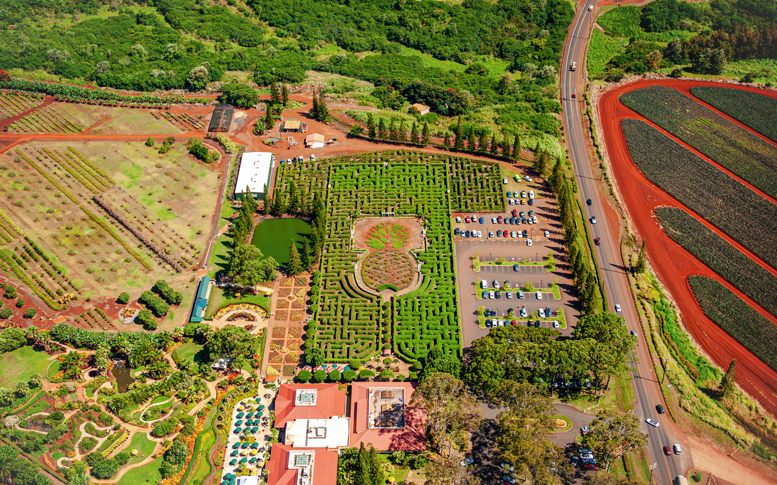 Aerial view of Dole Plantation maze and gardens, Oahu, Hawaii.