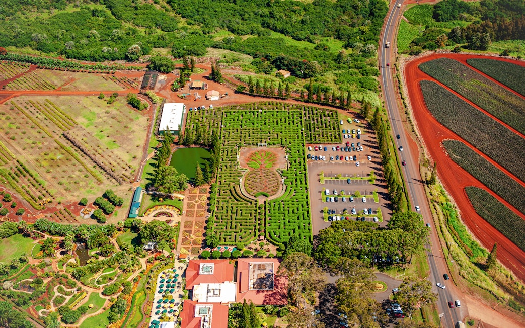 Aerial view of Dole Plantation maze and gardens, Oahu, Hawaii.