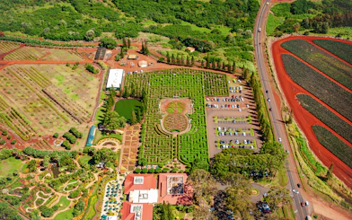 Aerial view of Dole Plantation maze and gardens, Oahu, Hawaii.