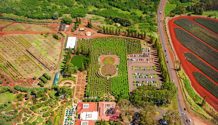 Aerial view of Dole Plantation maze and gardens, Oahu, Hawaii.