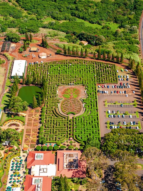 Aerial view of Dole Plantation maze and gardens, Oahu, Hawaii.